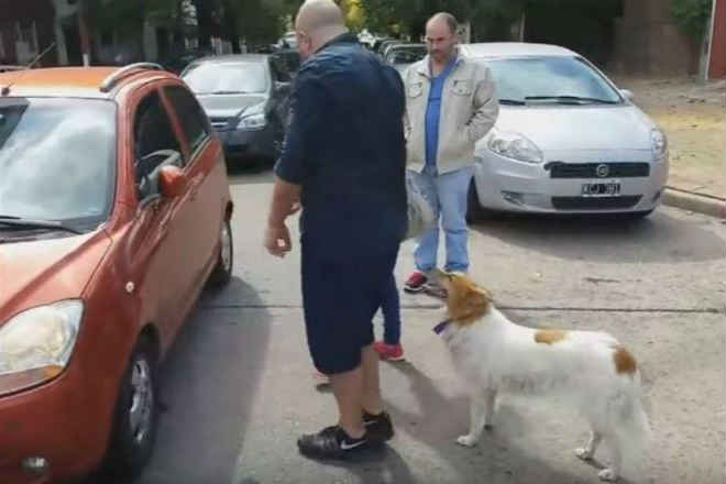 Mulher é flagrada na estrada quando se preparava para abandonar o cão em La Plata, Argentina