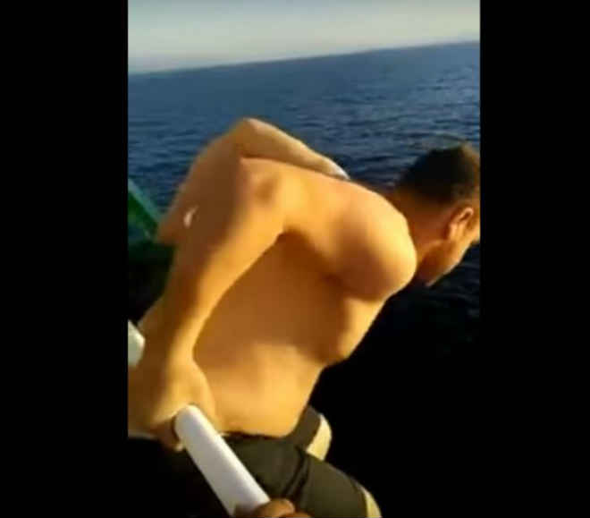 Marinheiro arrisca a vida para salvar baleia em perigo