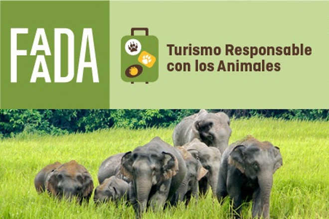 Mais de 200 blogueiros espanhóis estimulam turismo responsável com os animais