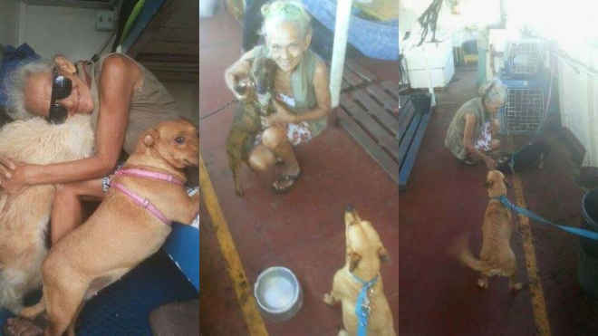 Idosa enfrenta viagem de barco e caminhão para não abandonar cães em Manaus, AM