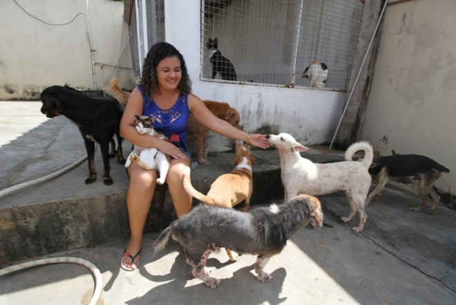Estudante pede apoio para cuidar de 17 cães e 12 gatos: ‘Não vou jogá-los nas ruas’