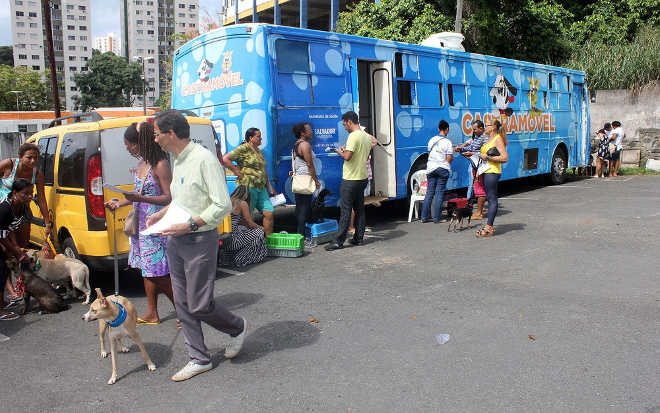 Salvador (BA): Castramóvel realiza esterilização de cães e gatos em Cajazeiras X até 1º de junho