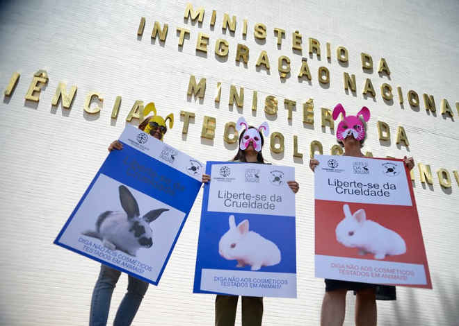 Proibição do uso de animais em testes de cosméticos é debatida na Comissão de Meio Ambiente do Senado