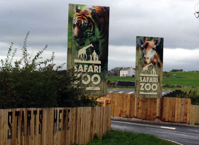 Vergonha! Zoológico na Inglaterra, onde 500 animais morreram de forma controversa, renova licença