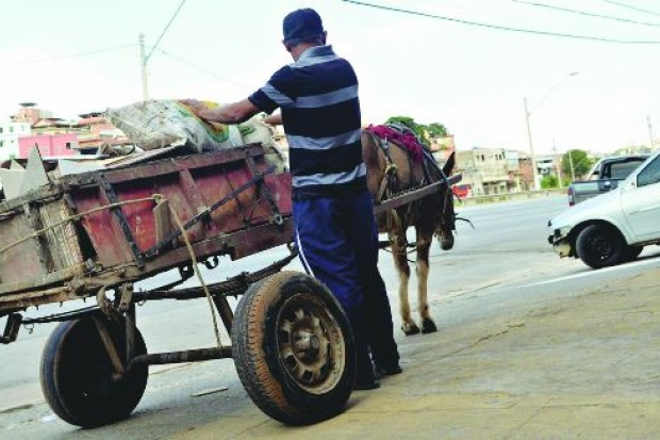 Prefeitura de Belo Horizonte (MG) tira animais de carroças
