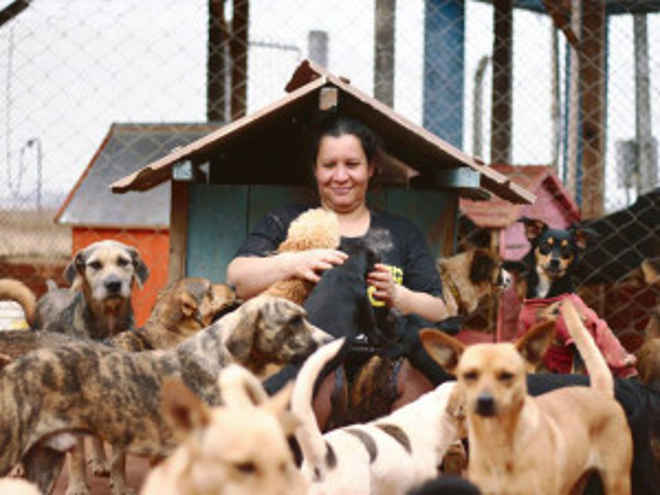 Nota Paraná ajuda instituição que atende cães e gatos abandonados
