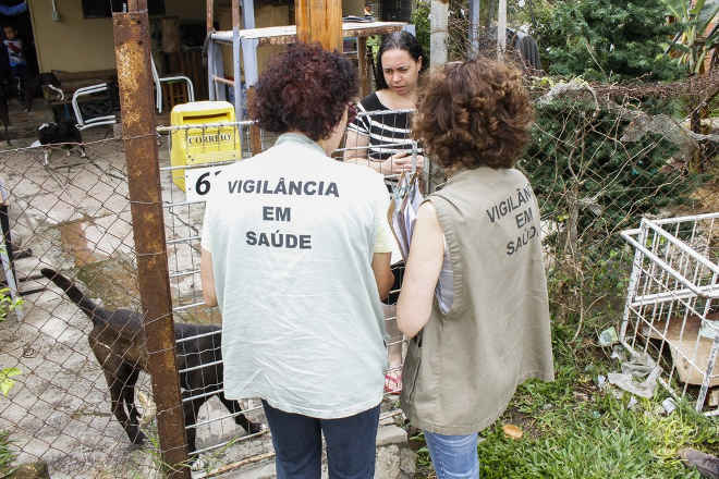 Justiça proíbe matança de cães com suspeita de leishmaniose em Porto Alegre, RS