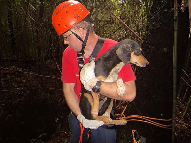 Bombeiros resgatam cachorra que caiu em poço desativado com quase 10 metros em SC