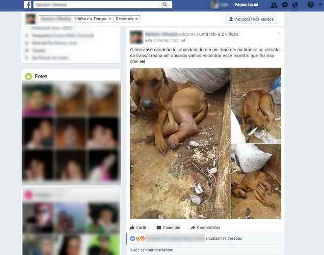 Controle de Zoonoses resgata cachorro em lixão após imagem viralizar na internet