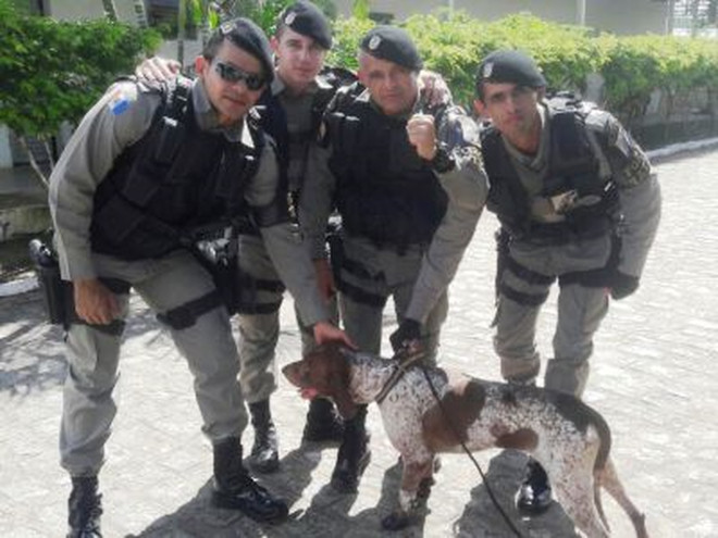 PM resgata cão vítima de maus-tratos em Arapiraca, AL