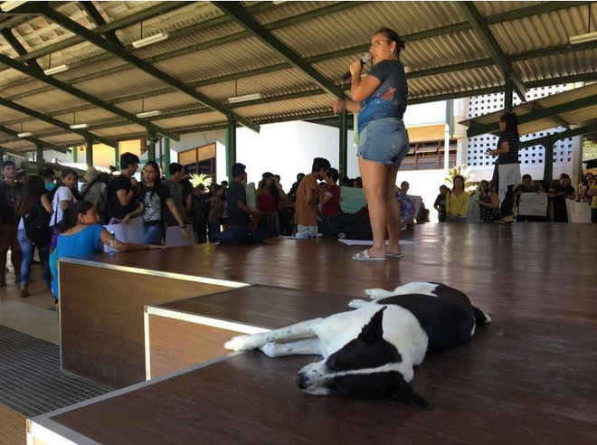 Alunos fazem protesto após morte de cadela em universidade no Amazonas