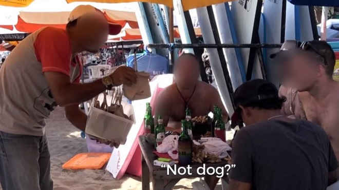 ONG revela que turistas estão comendo carne de cachorro sem saber, em Bali
