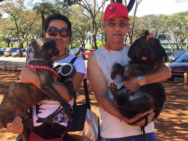 Mais de mil pessoas e de 600 cachorros vão à Cãominhada no Parque da Cidade, em Brasília, DF