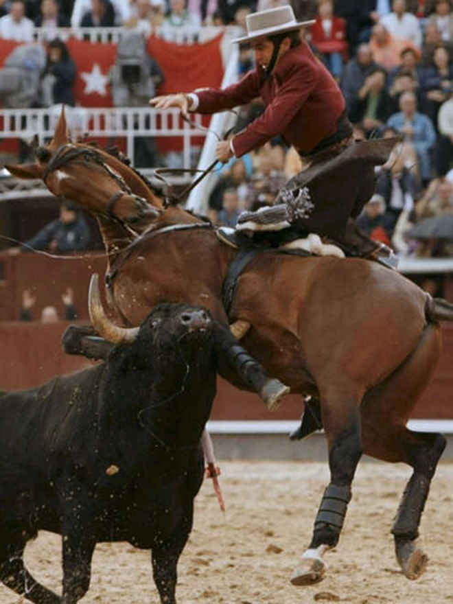 Um cavalo fica ferido durante uma tourada na Espanha e isso foi o que fizeram com ele