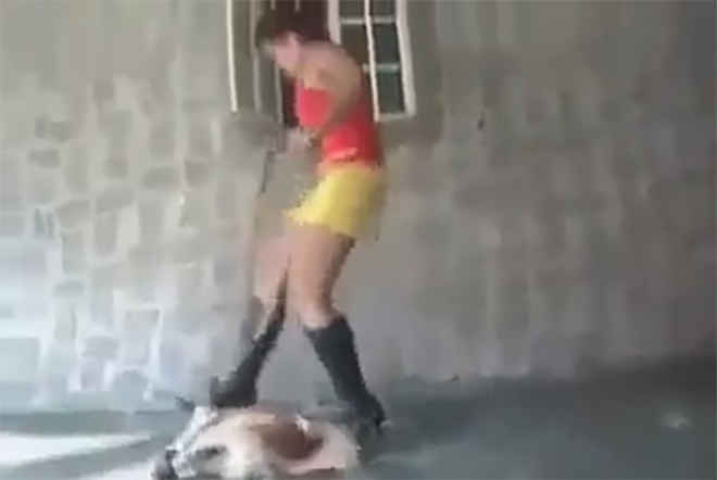 Vídeo de mulher pisoteando cachorro gera revolta e indignação na internet