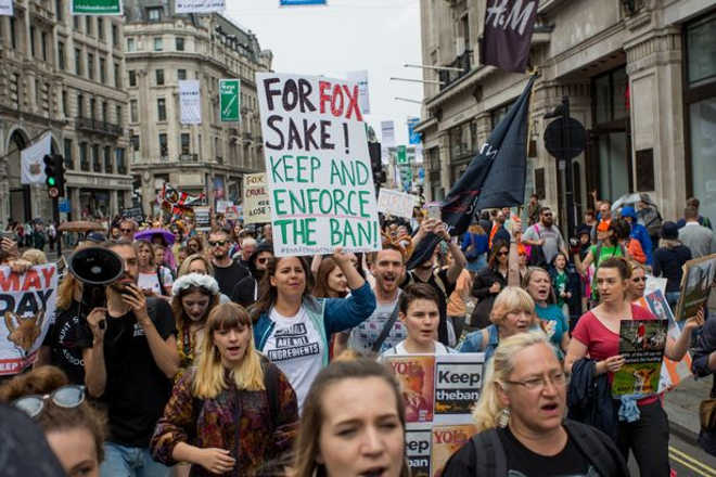 Milhares de manifestantes contra a caça à raposa marcham em Londres para pedir à primeira-ministra que mantenha a proibição