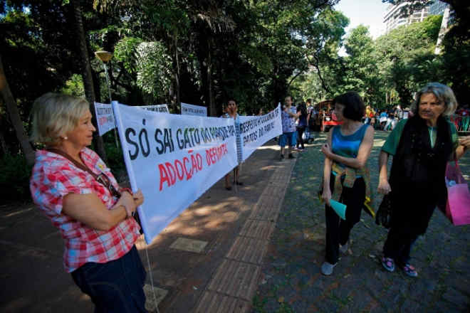 Movimento defende combate ao abandono de gatos no Parque Municipal, em Belo Horizonte, MG