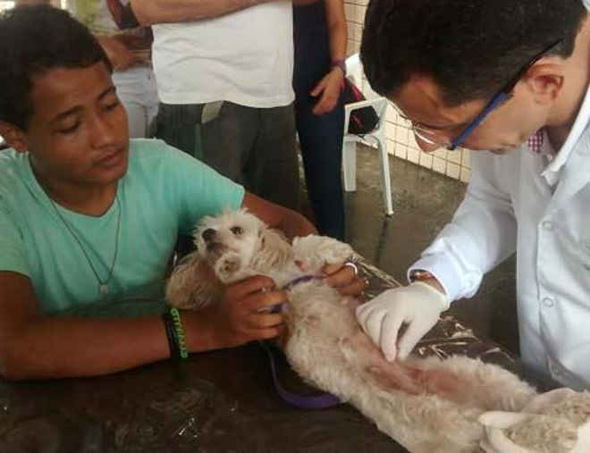 Mutirão oferece serviço veterinário gratuito este sábado no Recife, PE