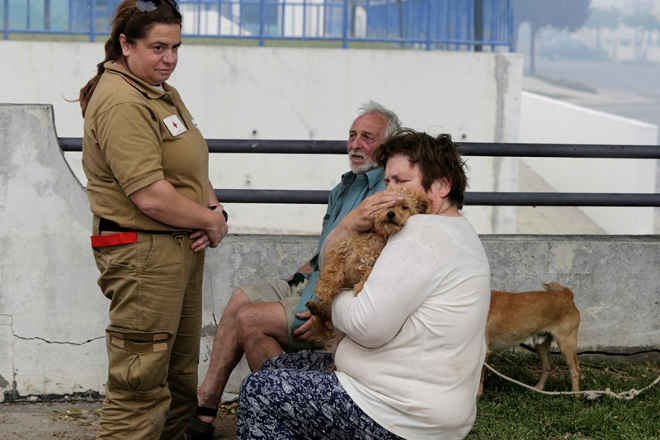 Campanha quer angariar mil euros para ajudar animais afetados por incêndios em Portugal