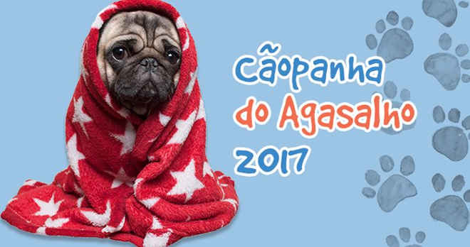 Centro Universitário promove campanha de agasalho para cães em abrigos, em Salto, SP