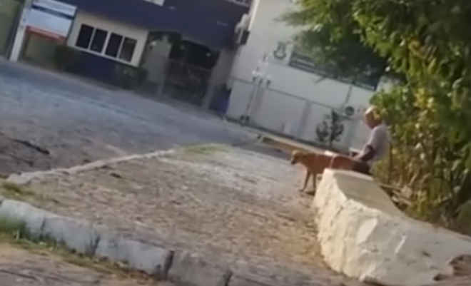 Vídeo mostra homem supostamente estuprando cadela no centro de Juazeiro, BA