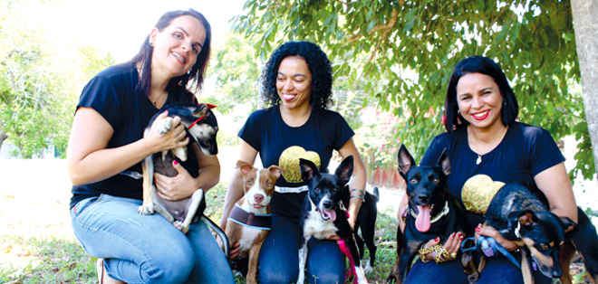 Lei municipal de proteção animal em Lauro de Freitas (BA) completa um ano sem muitos motivos para comemorações