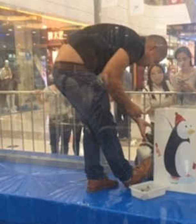 Pinguim é chutado por funcionário enquanto é forçado a entreter clientes em shopping de luxo na China