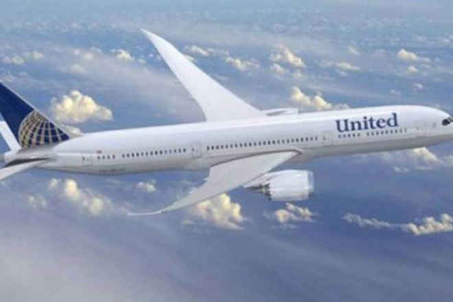 United embarca cachorro e tutor em voos separados