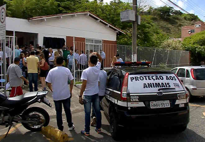 Polícia Civil resgata gatos que sofriam maus-tratos em Juiz de Fora, MG