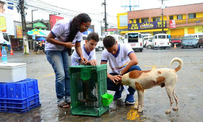 Estudantes criam máquinas para alimentar animais de rua em Abreu e Lima, PE