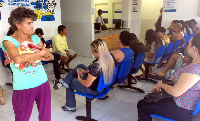 Hospital Veterinário do Recife, PE, completa um mês de atendimentos e espera