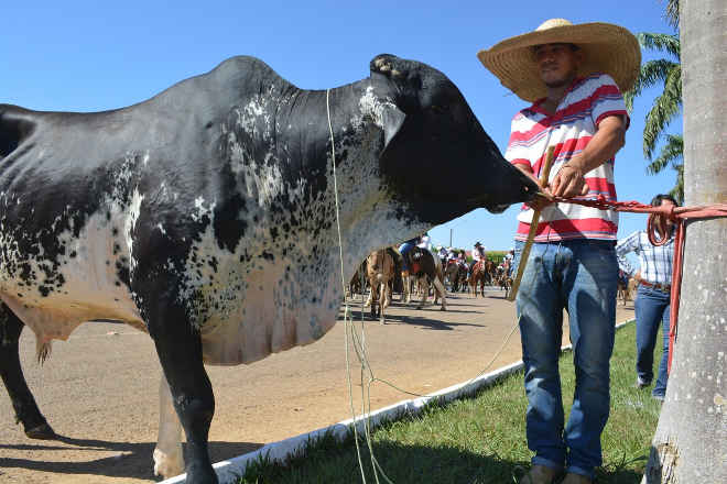 Utilização de bovinos durante cavalgada é proibida em Ji-Paraná, RO
