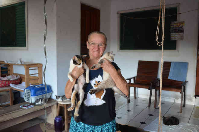Aos 60 anos, idosa recolhe e cuida de mais de 50 gatos abandonados em Rondônia