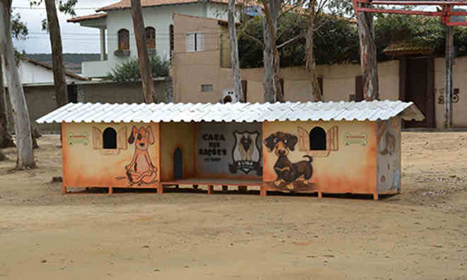 “Cãodomínio” é criado para ser o lar de cachorros de rua em Vitória da Conquista, BA