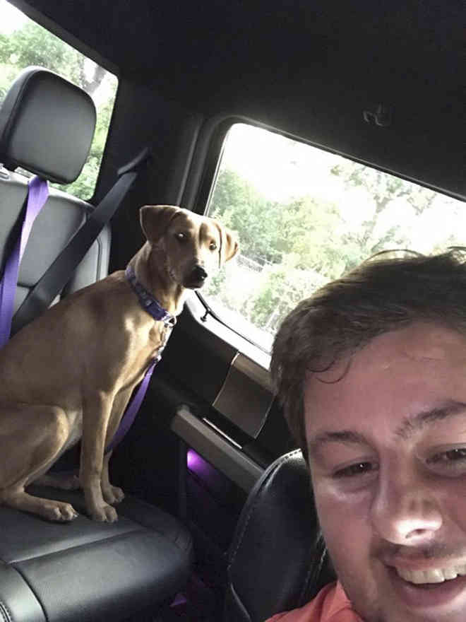 Jovem ignora os avisos e enfrenta furacão para salvar dois cachorros deixados para trás