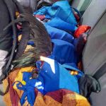 Polícia de Meio Ambiente desmantela rinha de galo em prende 22 pessoas em Manhumirim, MG
