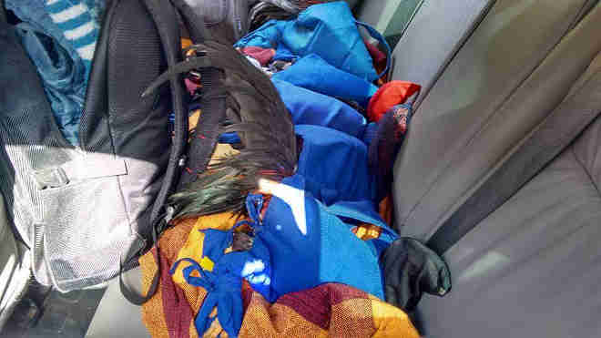 Polícia de Meio Ambiente desmantela rinha de galo em prende 22 pessoas em Manhumirim, MG