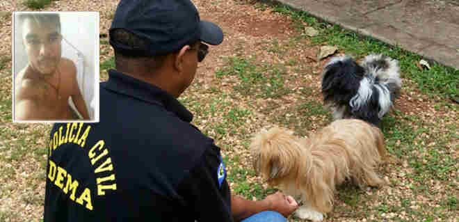 Polícia recebe laudos e deve investigar estupro de uma cadela em Cuiabá, MT