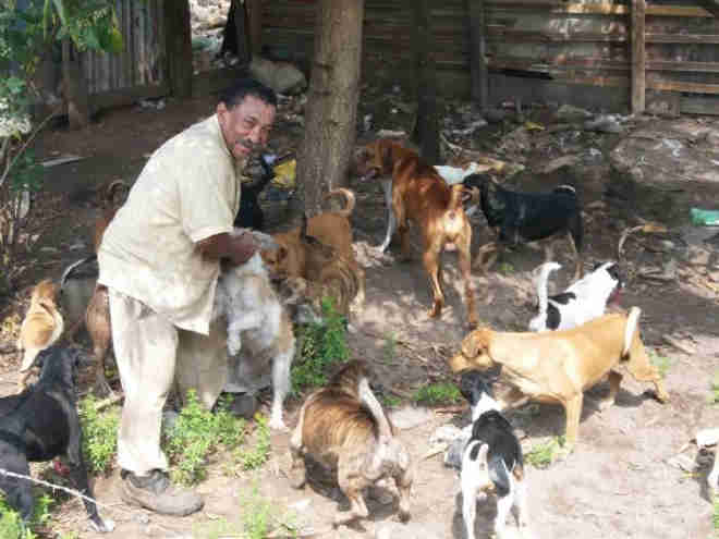Campanha ajuda homem que mesmo passando necessidades já acolheu mais de 30 cães de rua em MT