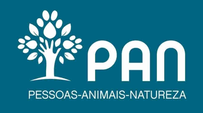 Portugal: PAN contactou Resort algarvio por denúncias de ataques a gaivotas