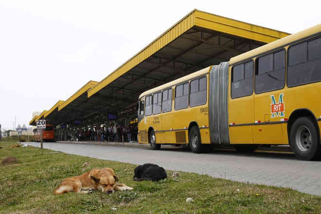 Sirene que espantava cachorros no terminal de ônibus é retirada