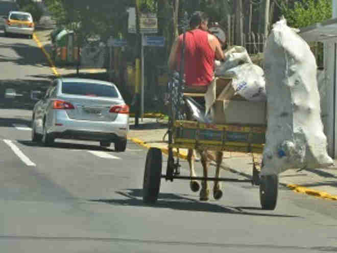 Projeto pretende proibir carroças em Maringá, PR