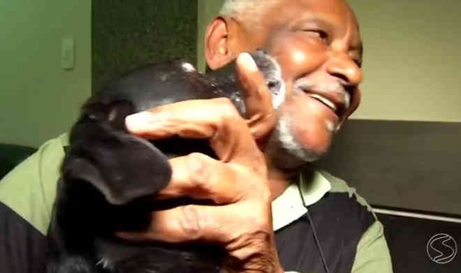 Conheça cão ‘adotado’ por moradores de Resende, no Sul do Rio