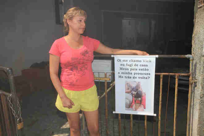 Família procura por cadela levada após fugir em rua de Alcântara, em São Gonçalo, RJ