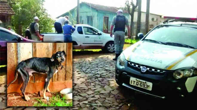Animais vítimas de maus-tratos são resgatados pela Coordenadoria de Proteção Animal de Ijuí, RS