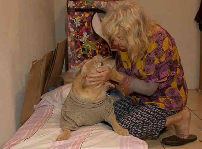 Exemplo: Aos 80 anos, idosa cuida de cadela que perdeu movimentos de patas no RS