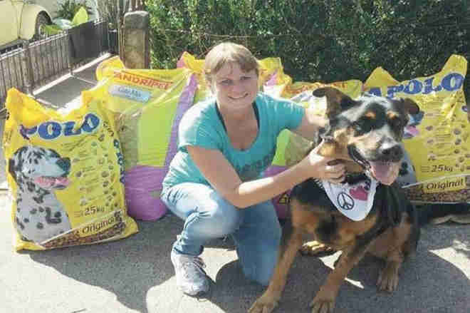 ONG Amigos do Peito pede auxílio para animais abandonados, em Santa Cruz do Sul, RS