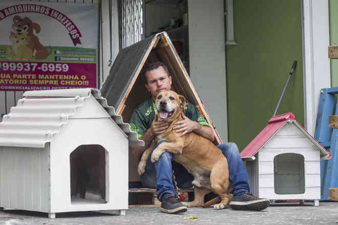 Mesmo desempregado, morador de São José (SC) constrói casinhas para abrigar cachorros de rua