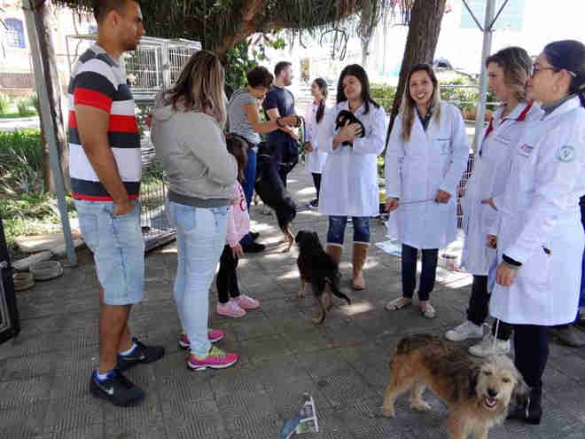 Prefeitura promove 5ª Campanha de Adoção de Animais do Canil Municipal de Salto, SP