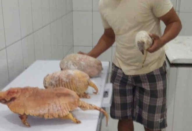 Jovem é preso após fazer selfie com animais silvestres mortos no sul da Bahia
